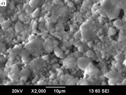 Реминирализация после 48 ч.jpg