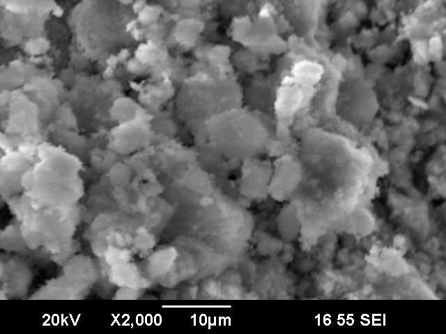 Реминирализация после 48 ч детский.jpg